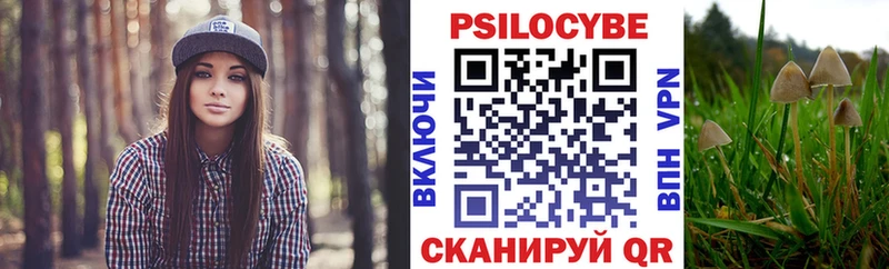 Галлюциногенные грибы Psilocybine cubensis  Купить закладки  Крымск 
